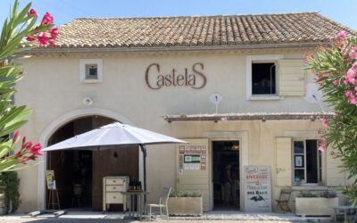 Gute Olivenernte in der Provence