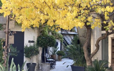 Der Herbst in der Provence verspricht kulinarische Genüsse