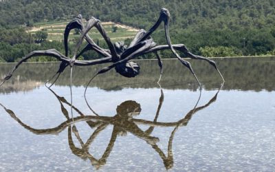 Ambitionierte Kunst unter provenzalischer Sonne